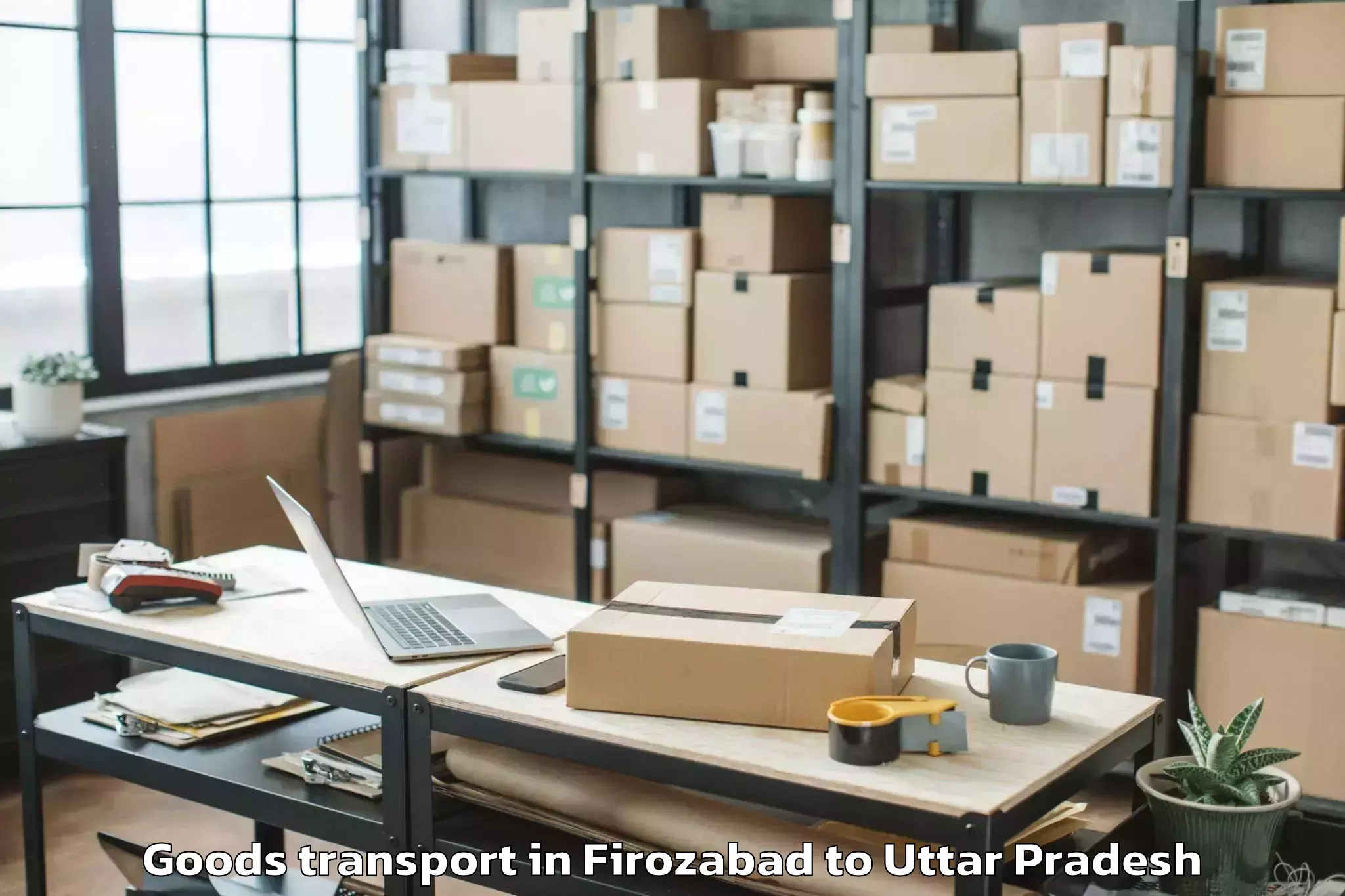 Hassle-Free Firozabad to Balrampur Goods Transport